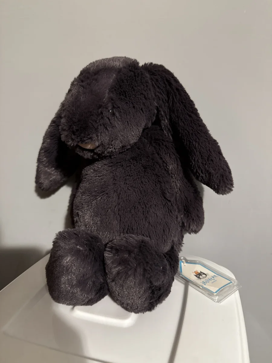 Front - Bashful Inky Bunny - Medium photo by jenna70jw
