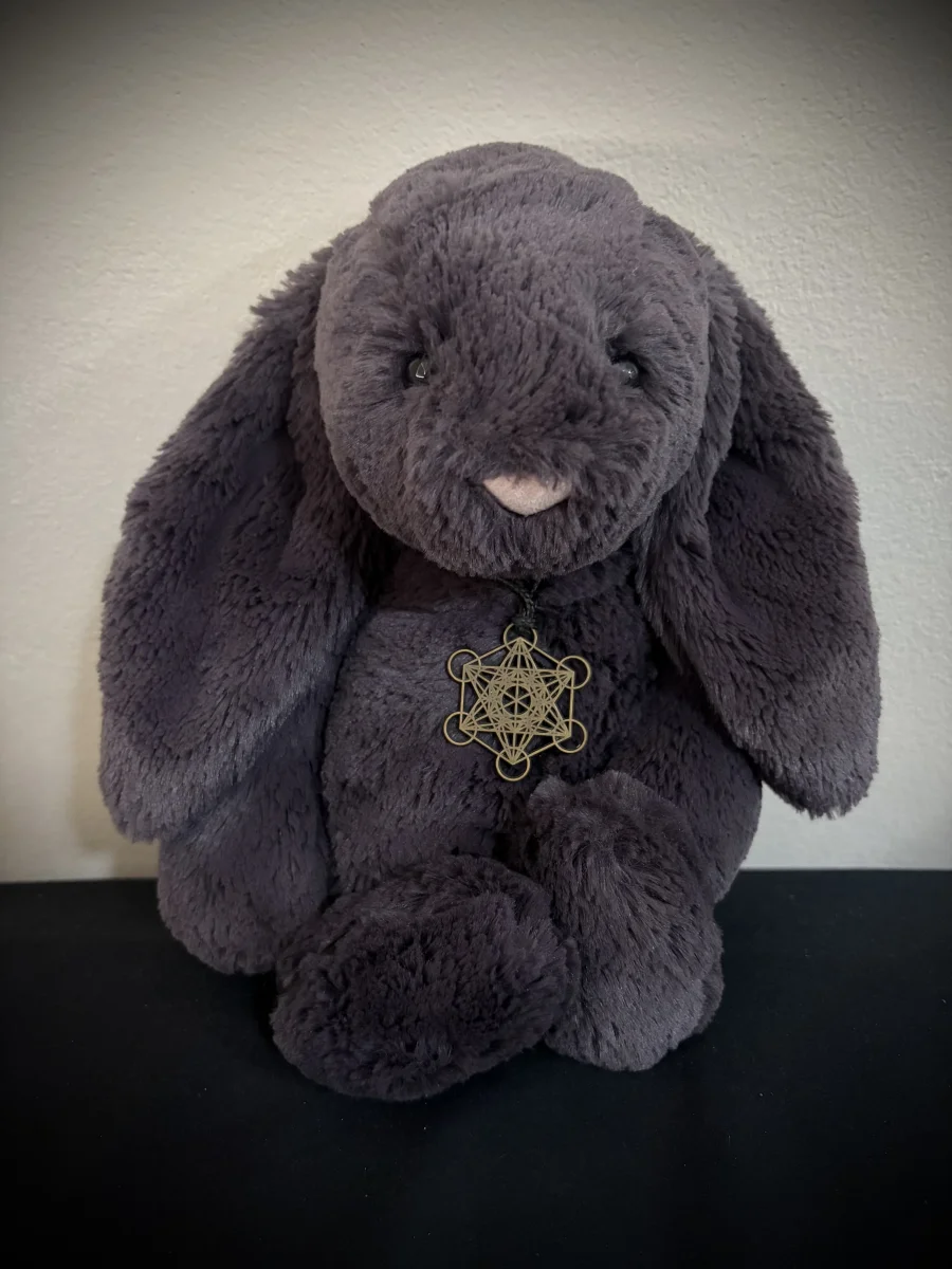 Front - Bashful Inky Bunny - Medium photo by Neenishh