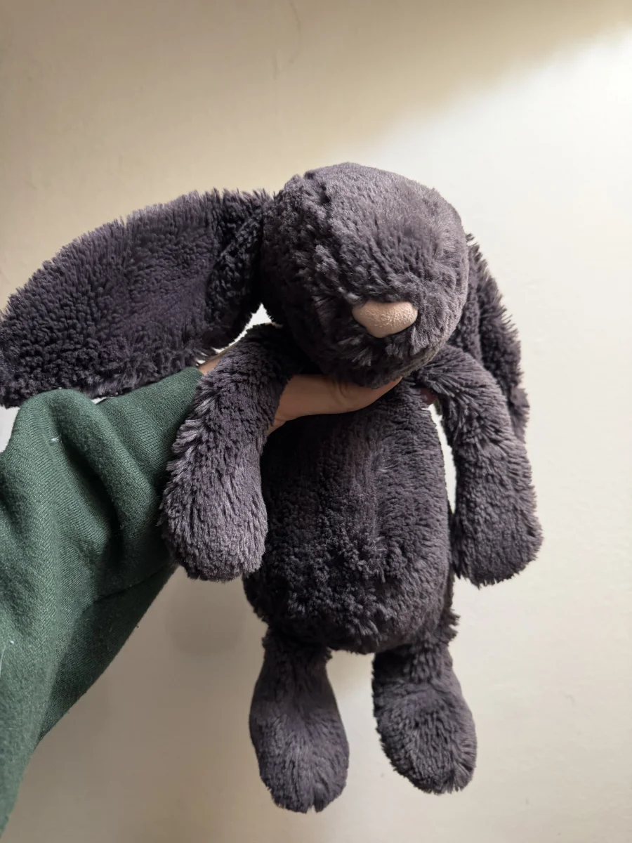Front - Bashful Inky Bunny - Medium photo by amandamariejelly
