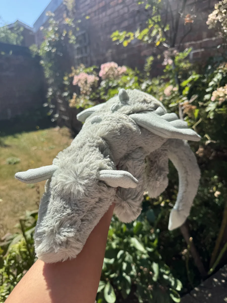 Front - Sage Dragon - Large photo by beagreen