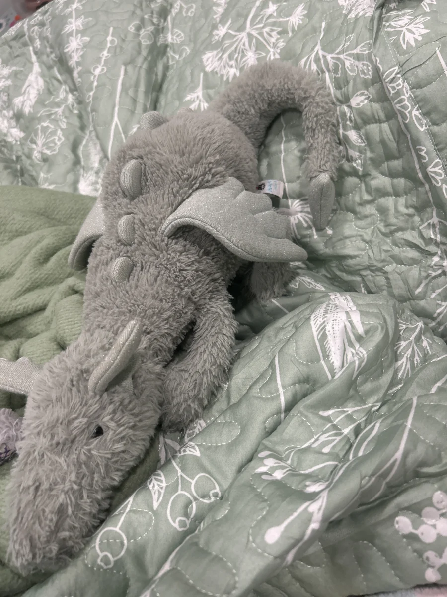Front - Sage Dragon - Large photo by Bellarose