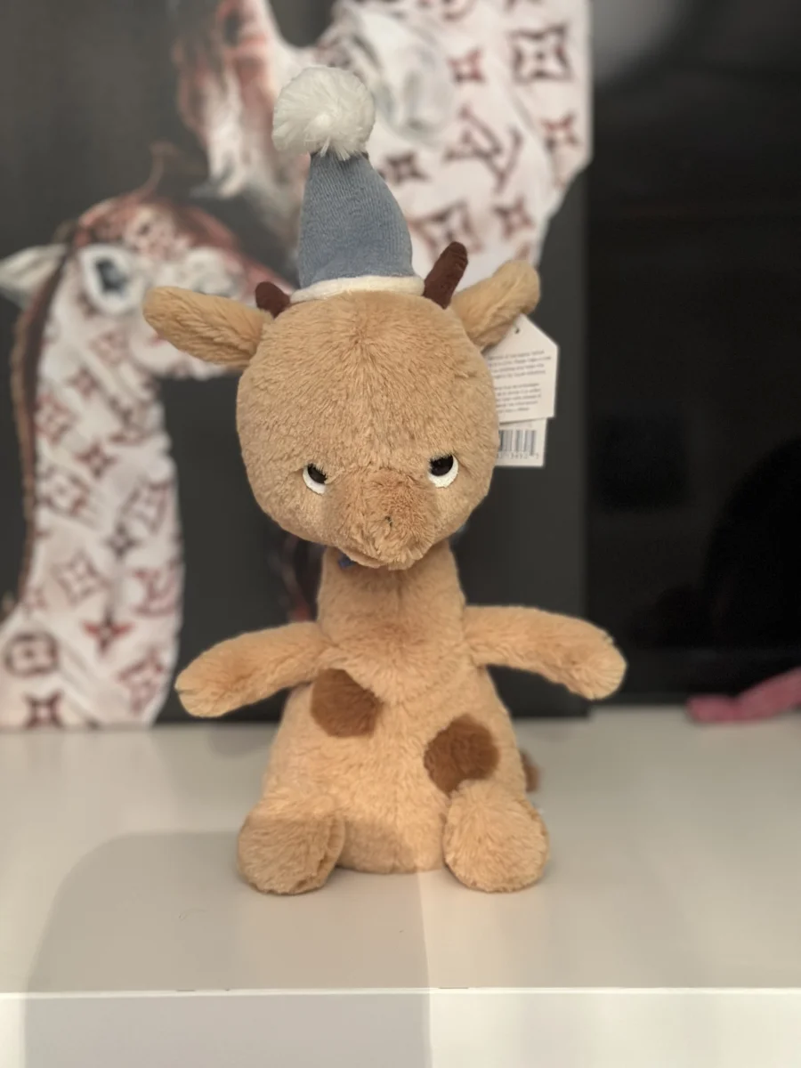 Front - Jollipop Giraffe photo by Clare