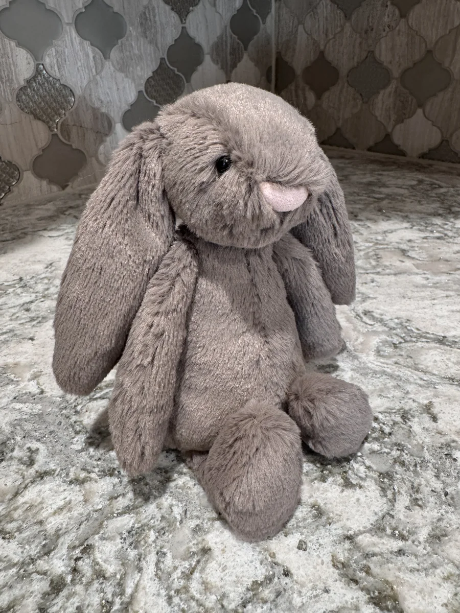 Front - Bashful Truffle Bunny - Small photo by SnowLeopard821