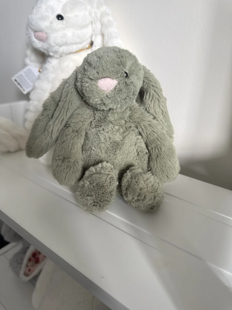 Front - Bashful Fern Bunny - Small photo by ToniMearns