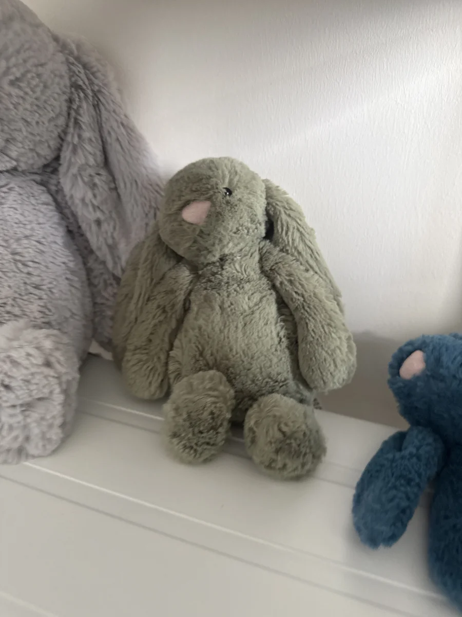Front - Bashful Fern Bunny - Small photo by ToniMearns