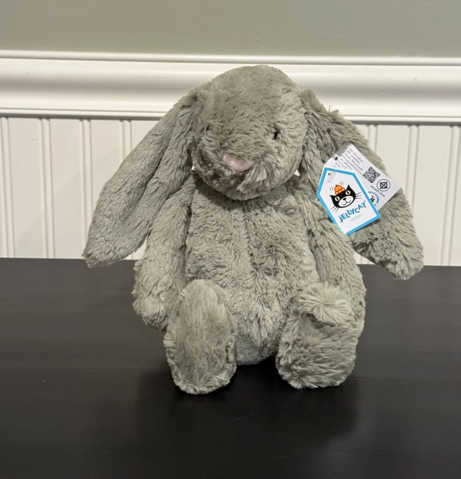 Front - Bashful Fern Bunny - Medium photo by Bunnylove