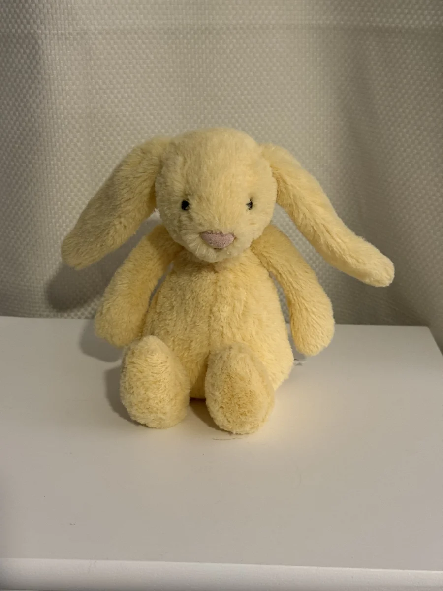 Front - Bashful Lemon Bunny - Small photo by Bunnylove