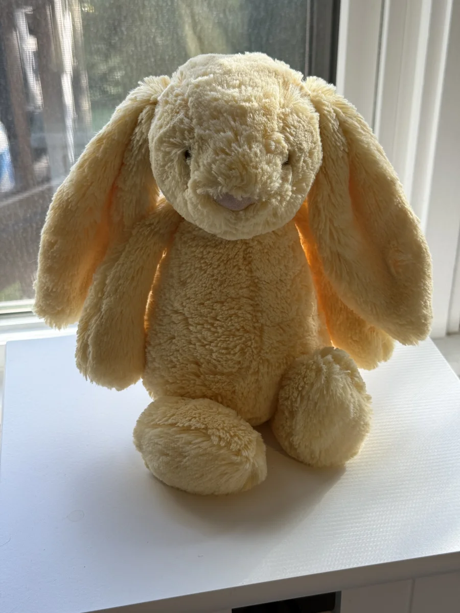 Front - Bashful Lemon Bunny - Medium photo by Bunnylove