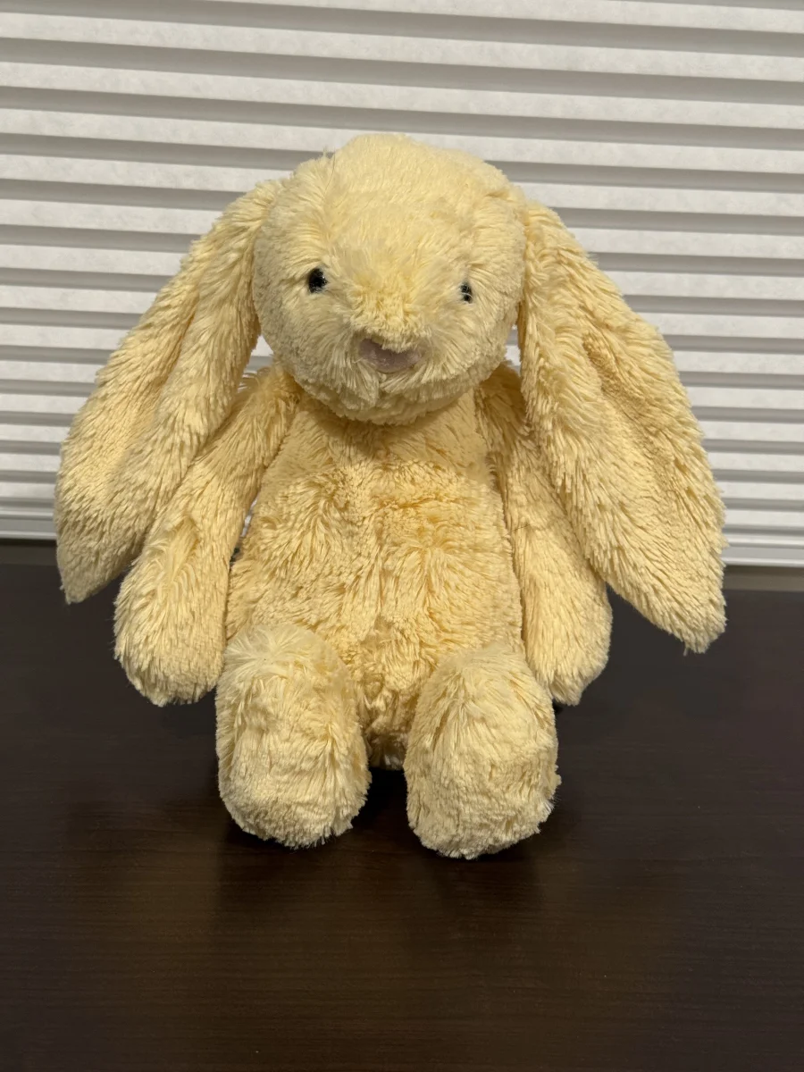 Front - Bashful Lemon Bunny - Medium photo by Bunnylove