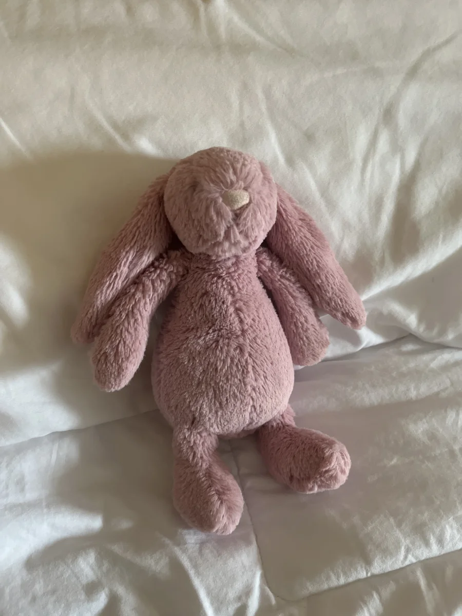 Front - Bashful Tulip Pink Bunny - Small photo by Bella_H