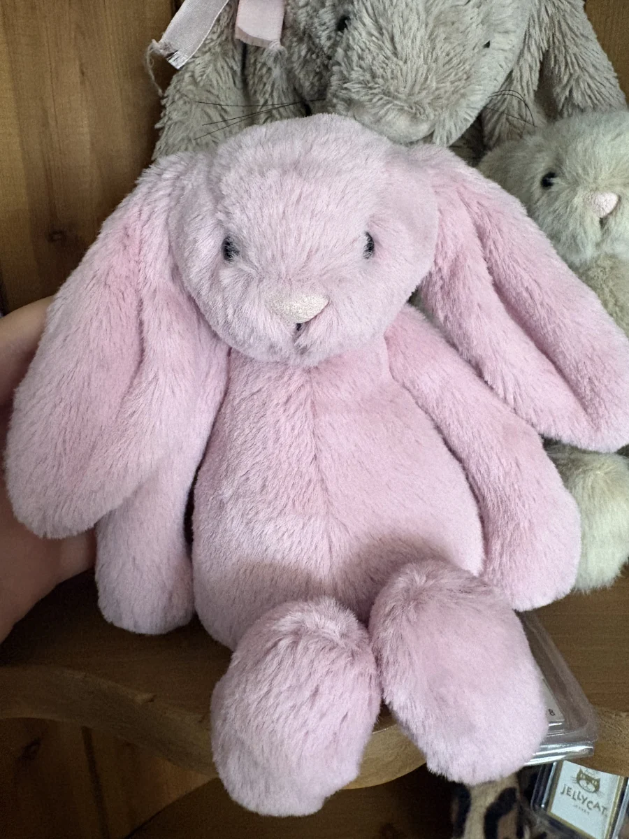 Front - Bashful Tulip Pink Bunny - Small photo by DuckiePops