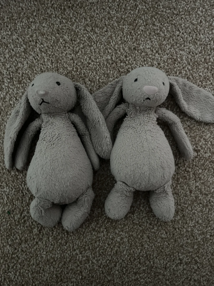 Front - Bashful Beige Bunny - Small photo by Charls