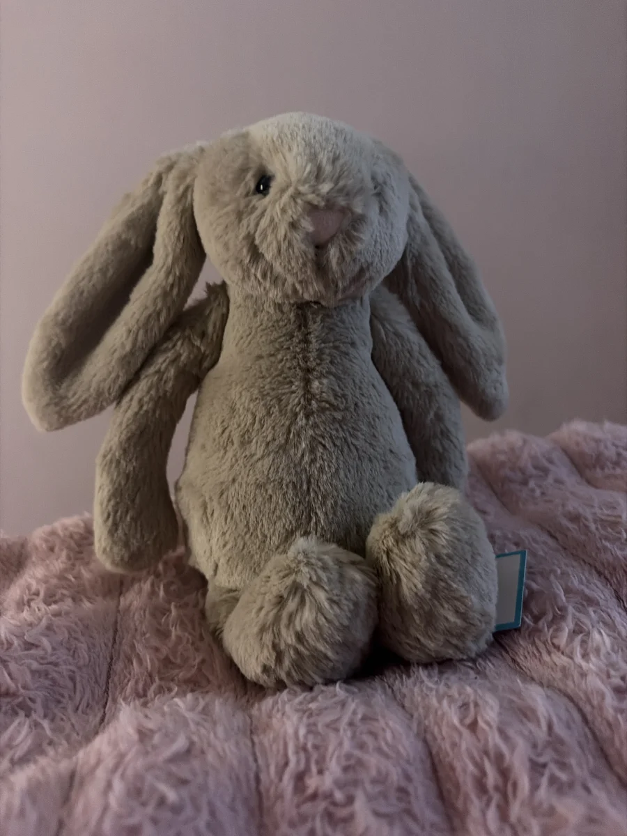 Front - Bashful Beige Bunny - Small photo by Lolliepop_1615