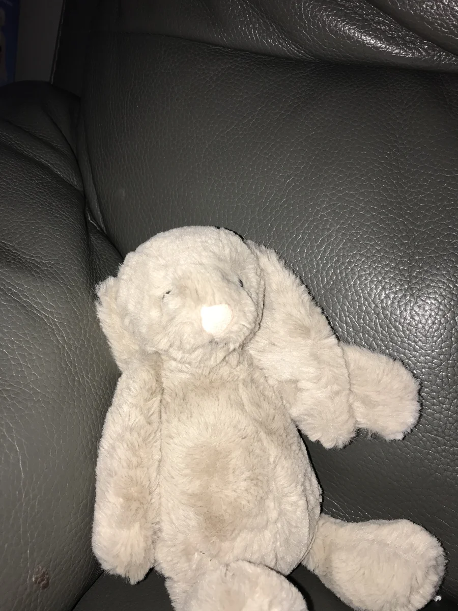 Front - Bashful Beige Bunny - Small photo by LRTask