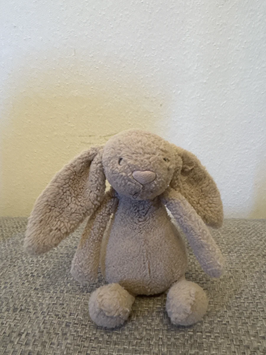 Front - Bashful Beige Bunny - Small photo by maryfrances23