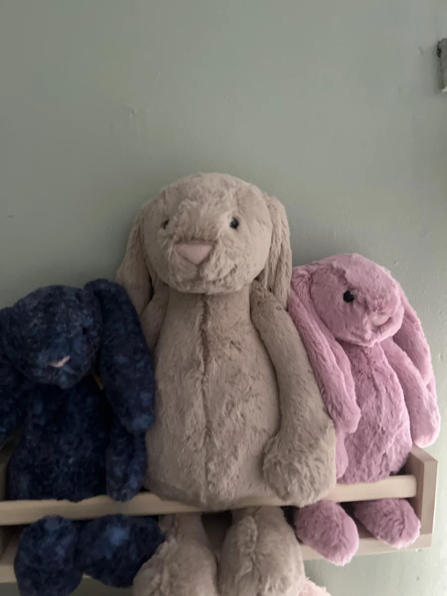 Lifestyle - Bashful Beige Bunny - Large photo by Charls