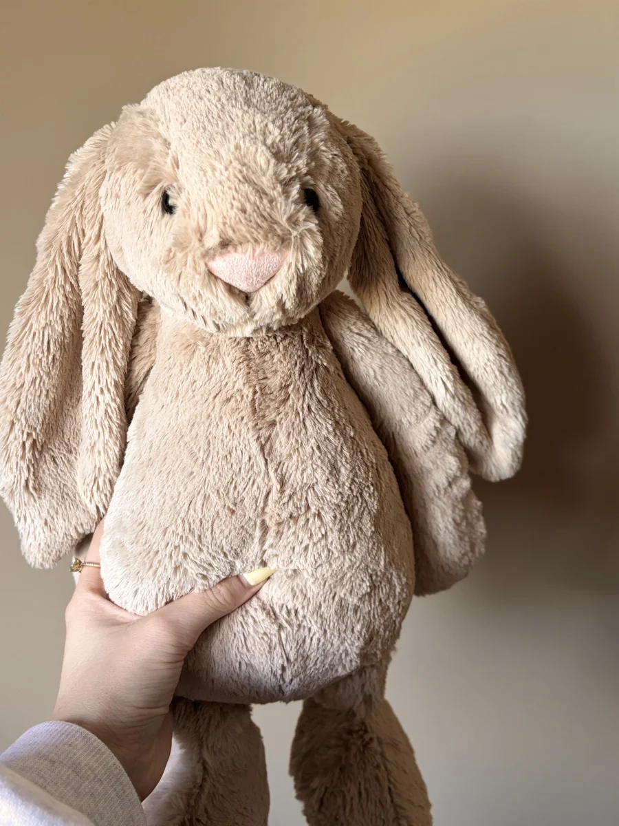 Front - Bashful Beige Bunny - Large photo by Elliexlouisex