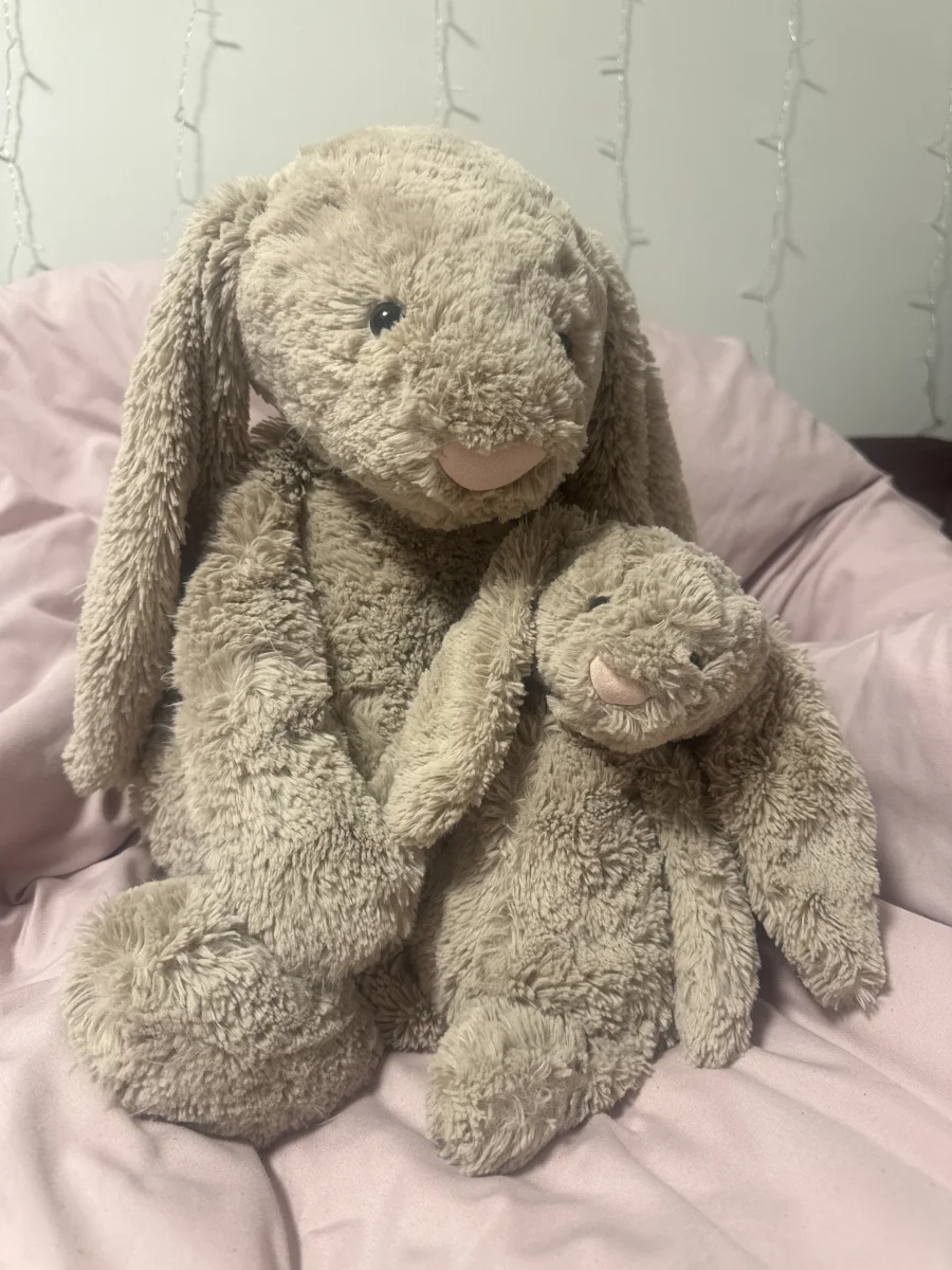 Front - Bashful Beige Bunny - Huge photo by Hannahjelly06