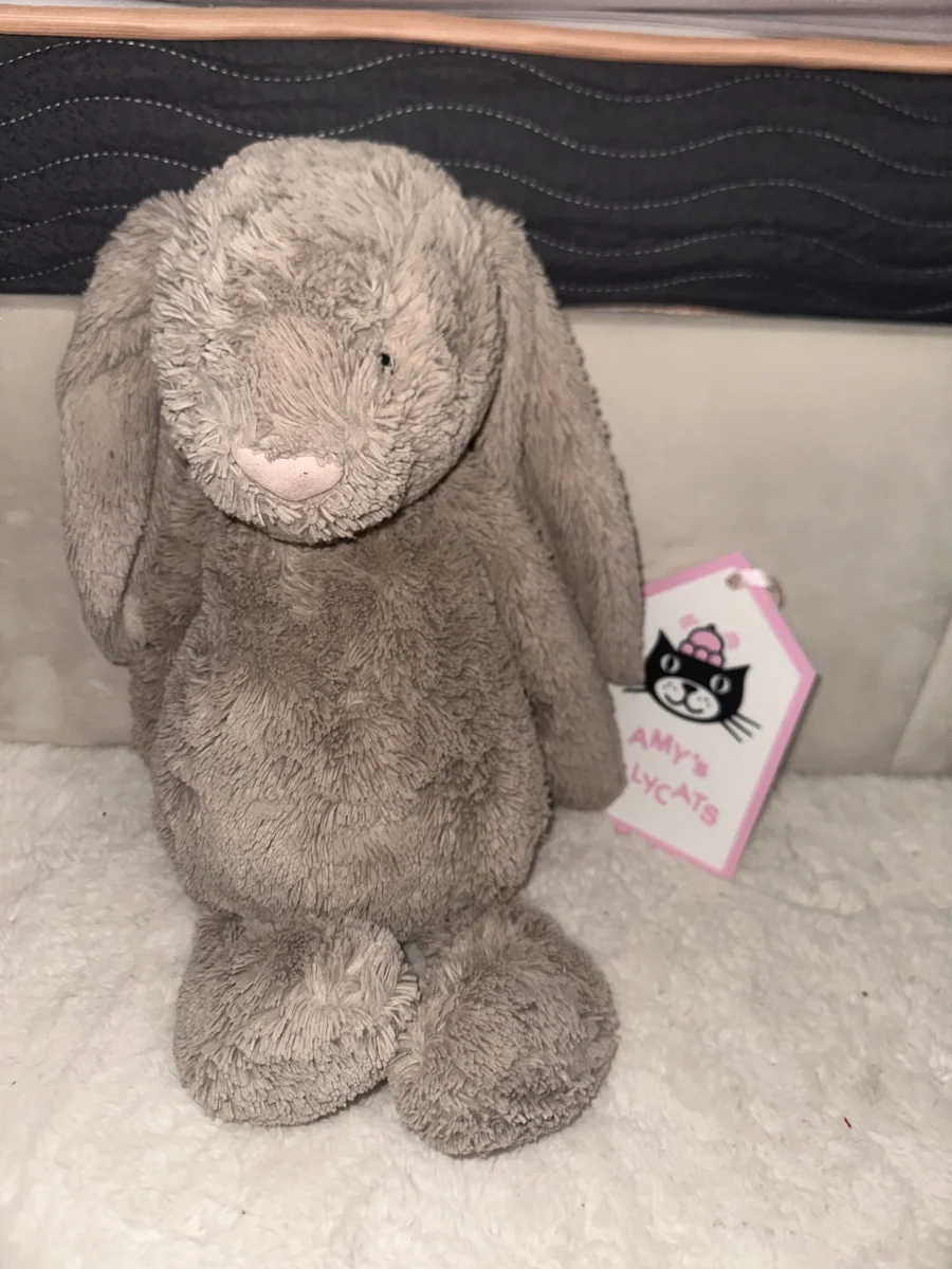 Front - Bashful Beige Bunny - Huge photo by amysjellys