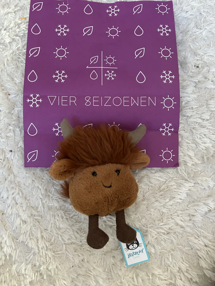 Front - Amuseabean Highland Cow photo by Roosjesjelly’s