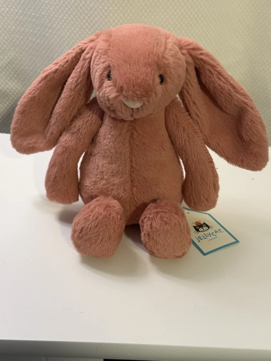 Front - Bashful Sorrel Bunny - Small photo by Bunnylove