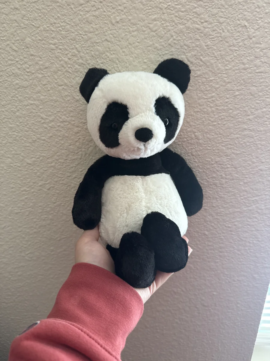 Front - Bashful Panda - Medium photo by asia_keane
