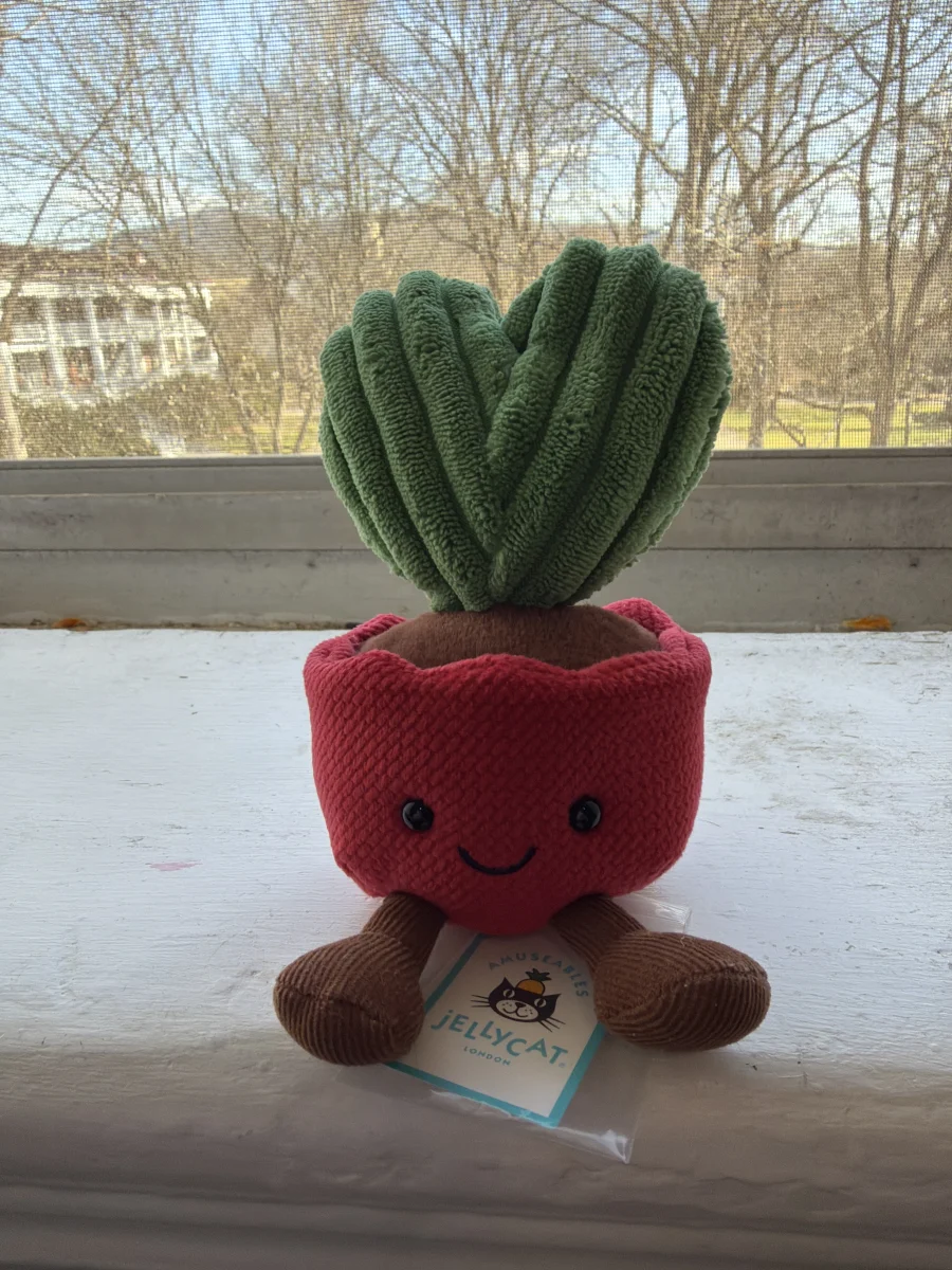 Front - Amuseables Kerrii Cactus photo by katsjellies