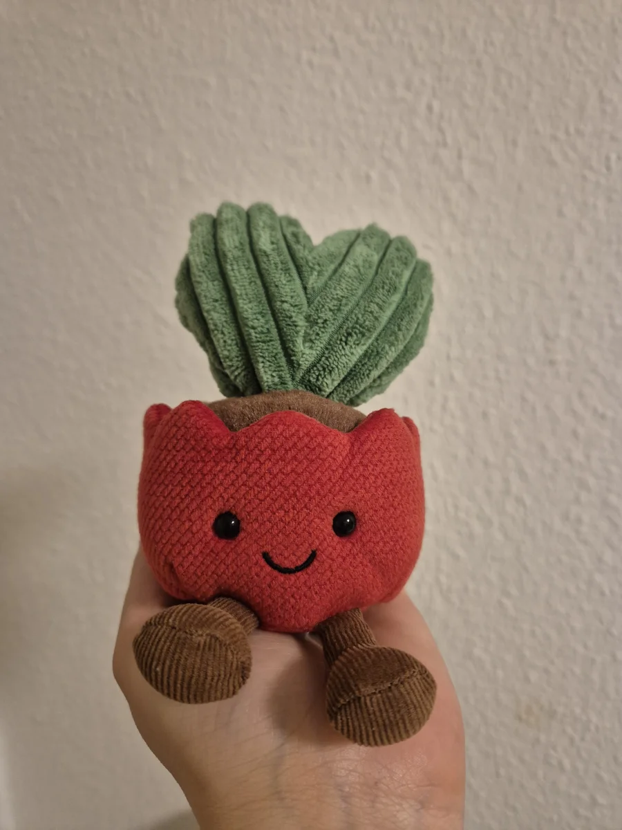 Front - Amuseables Kerrii Cactus photo by Helena