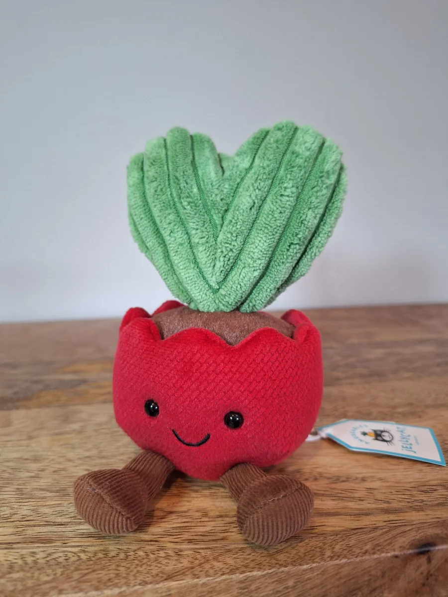 Front - Amuseables Kerrii Cactus photo by Sofie