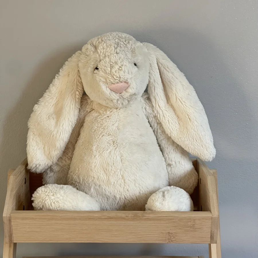 Front - Bashful Cream Bunny - Large photo by charlotteriddettepage
