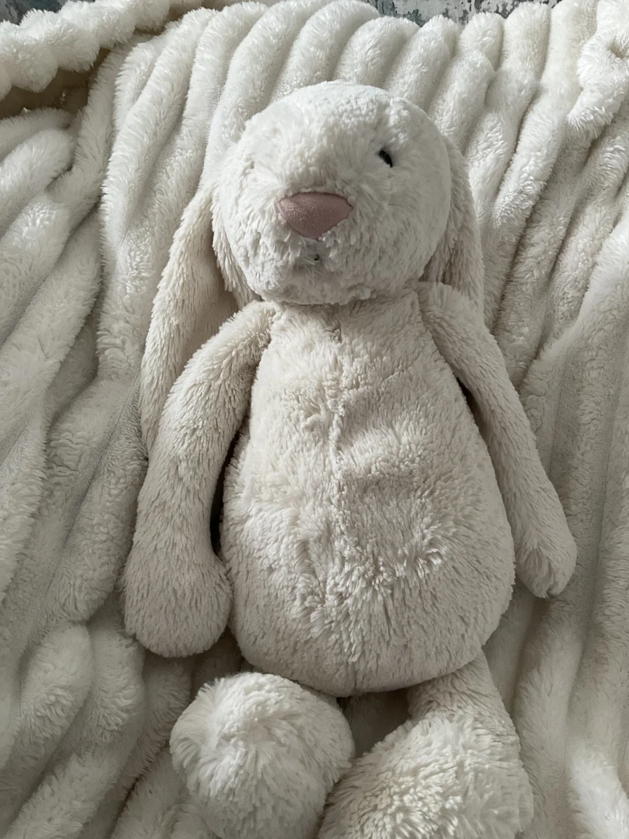 Front - Bashful Cream Bunny - Large photo by Hda1434