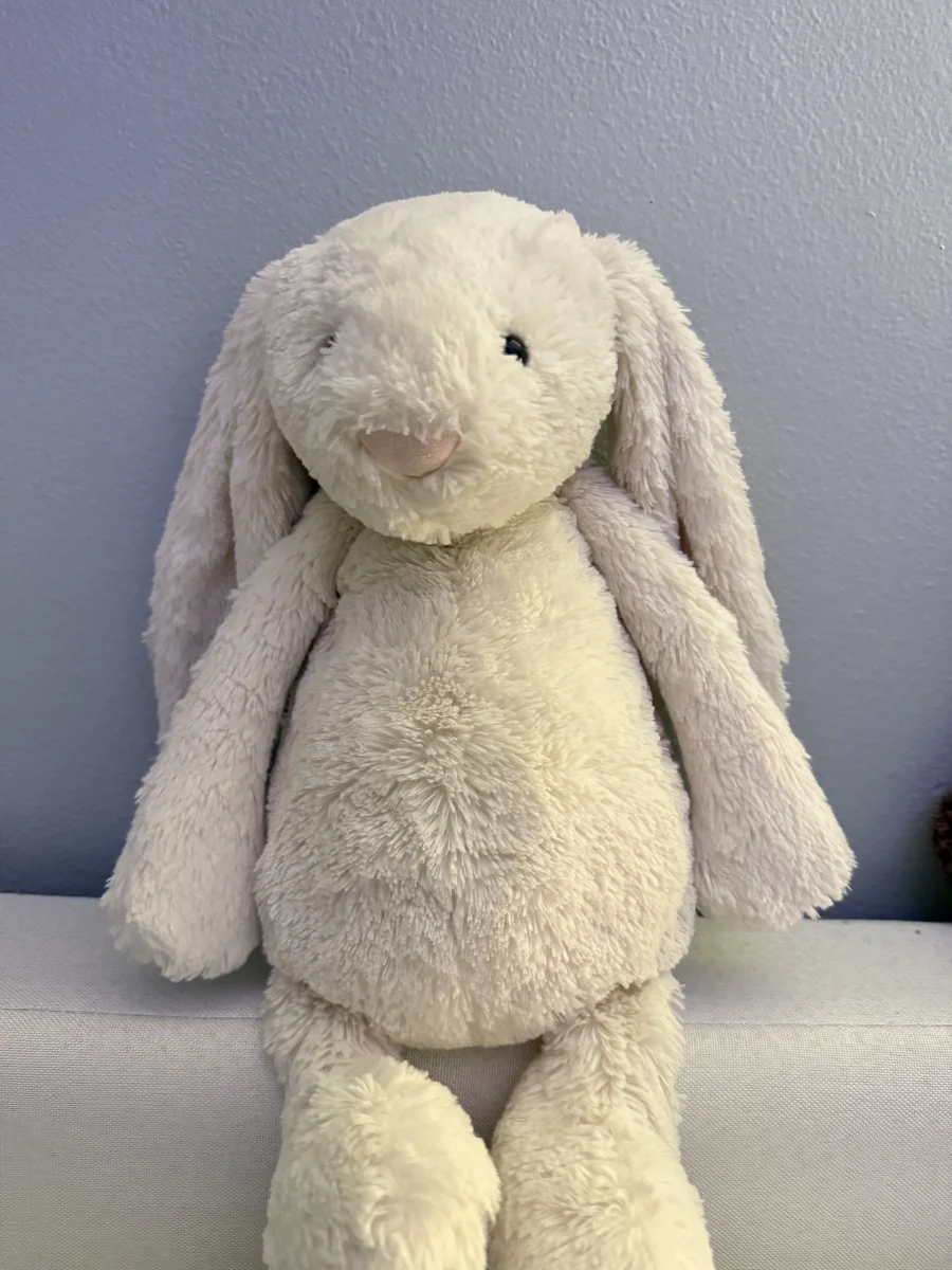 Front - Bashful Cream Bunny - Large photo by Haley_summers