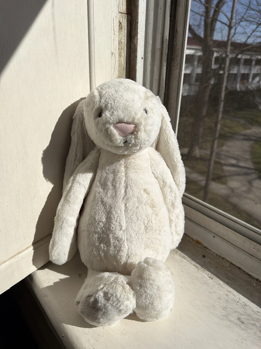 Front - Bashful Cream Bunny - Large photo by katsjellies