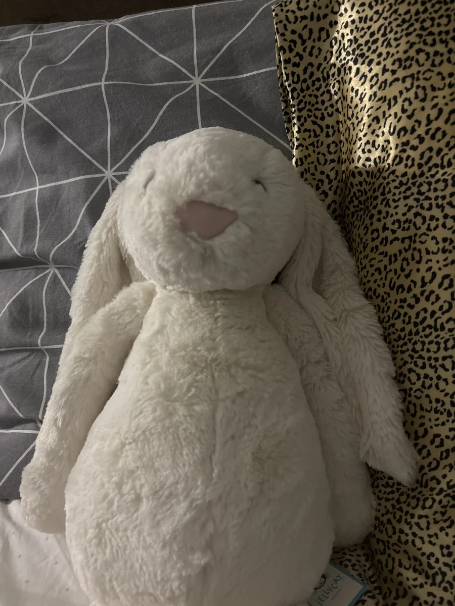 Front - Bashful Cream Bunny - Large photo by gyeahey