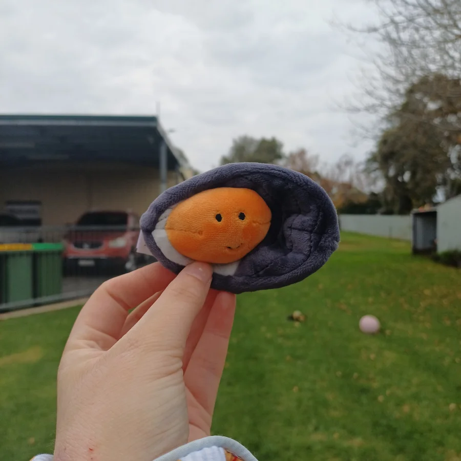 Front - Sensational Seafood Mussel photo by herbgardenplush