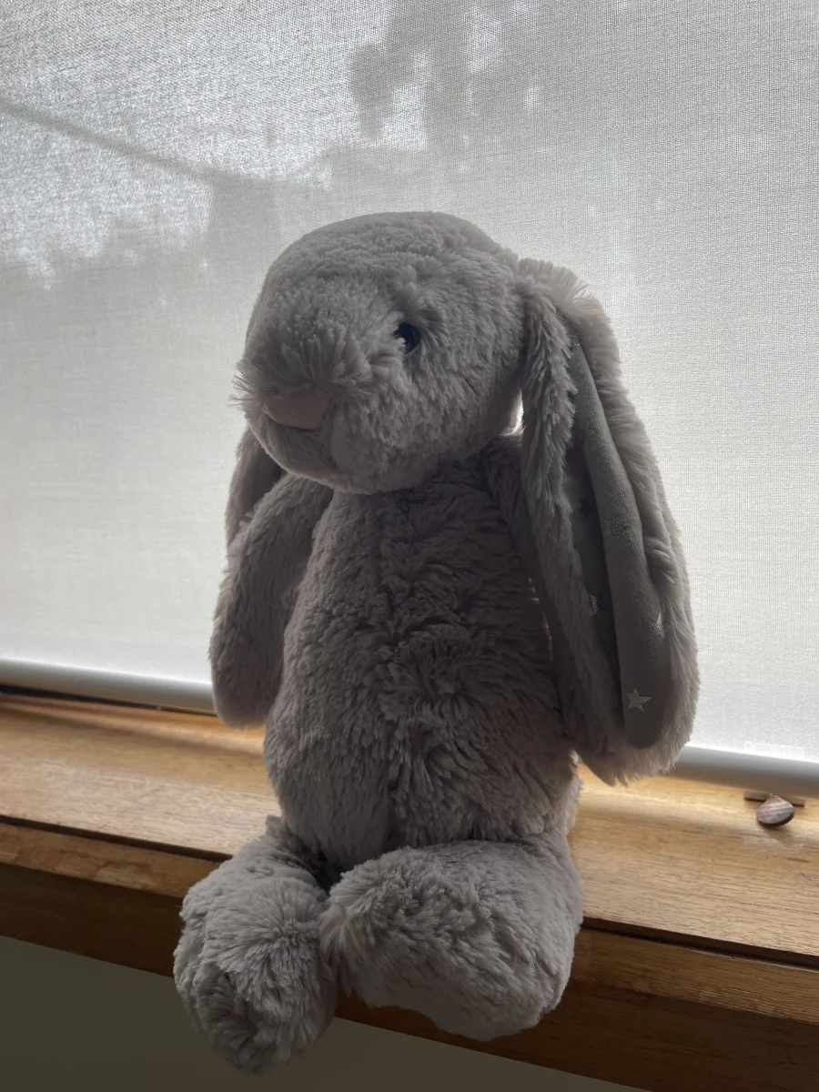 Front - Bashful Shimmer Bunny - Medium photo by Neve2011