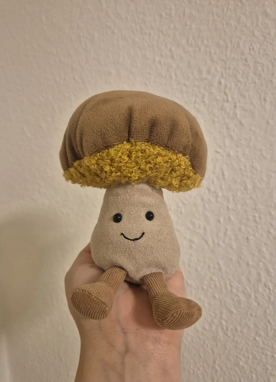 Front - Amuseables Toadstool photo by Helena
