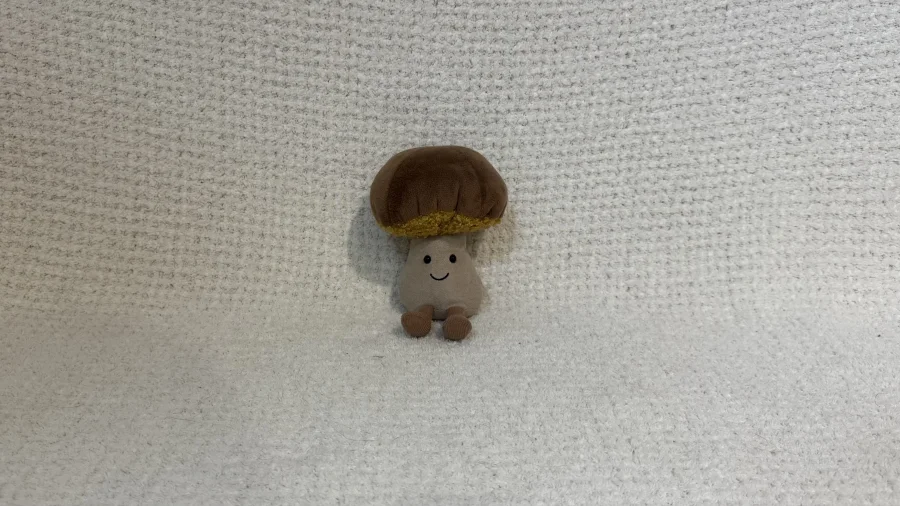 Front - Amuseables Toadstool photo by crim
