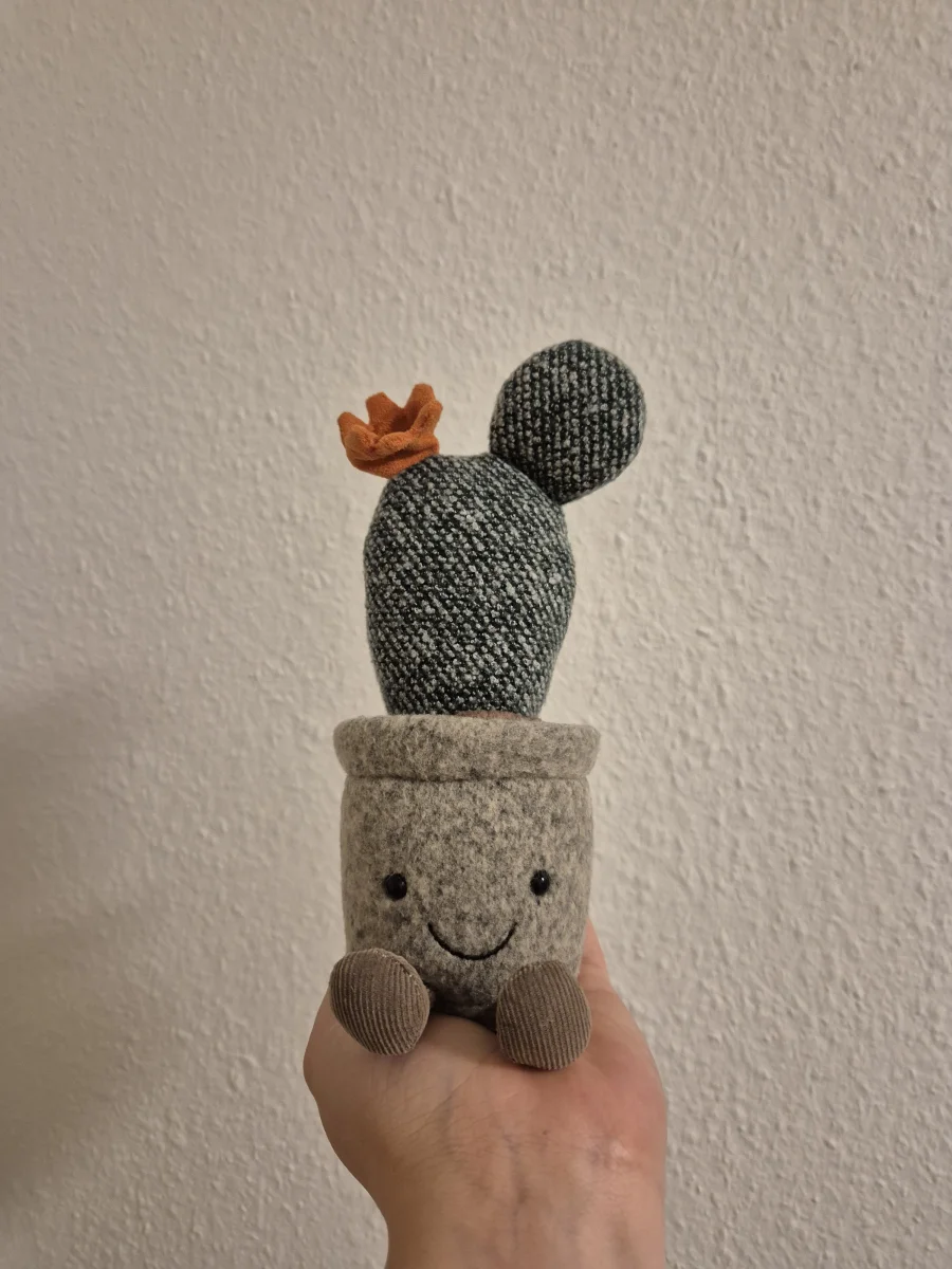 Front - Silly Succulent Prickly Pear Cactus photo by Helena
