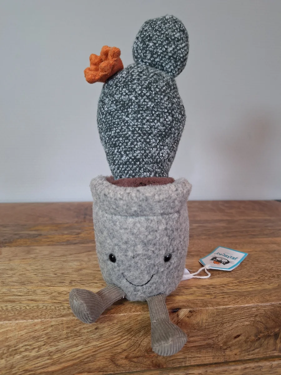 Front - Silly Succulent Prickly Pear Cactus photo by Sofie