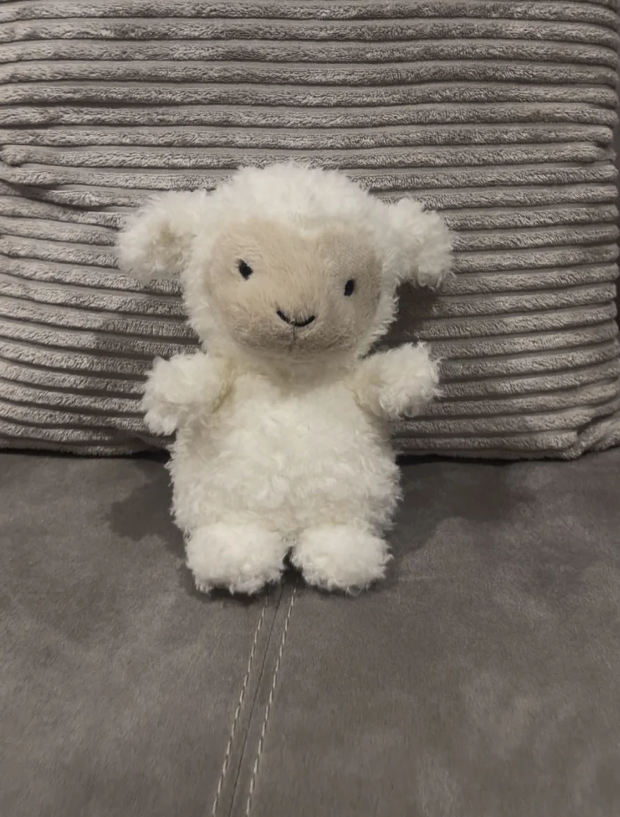 Front - Little Lamb photo by Seni113