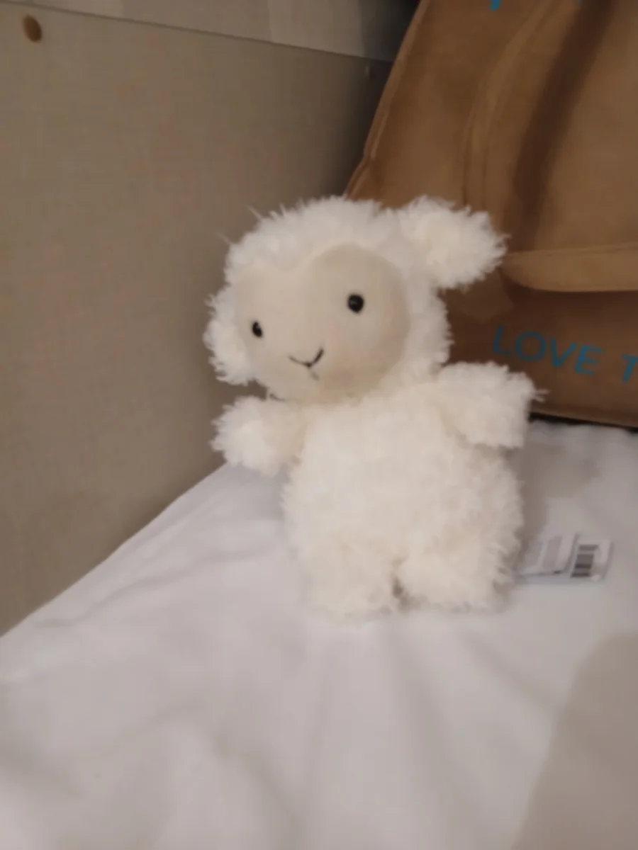 Front - Little Lamb photo by Ameliaj2015