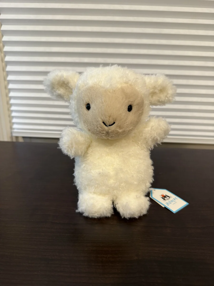 Front - Little Lamb photo by Bunnylove