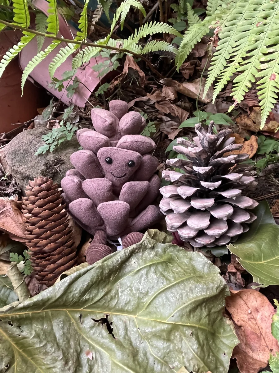 Front - Amuseables Pine Cone photo by Jellyna