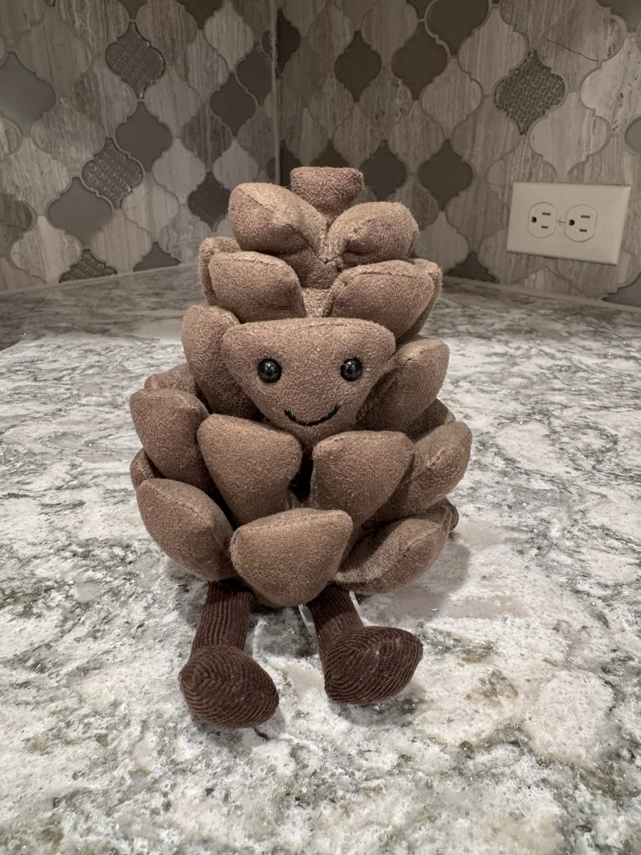 Front - Amuseables Pine Cone photo by SnowLeopard821