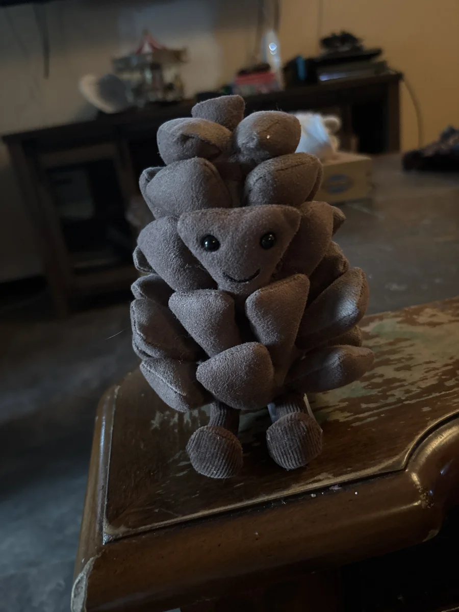 Front - Amuseables Pine Cone photo by MommyNCharJelly