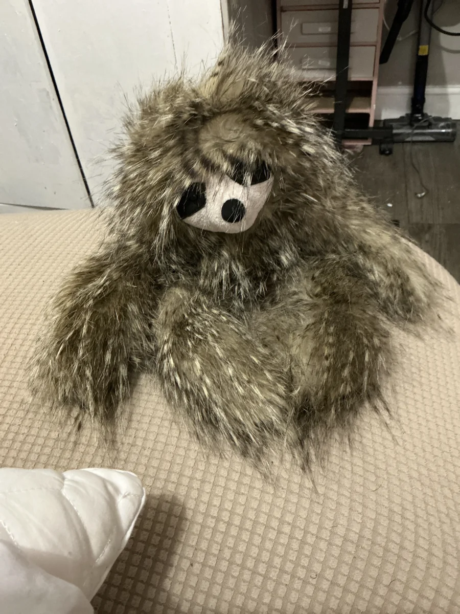 Front - Cyril Sloth photo by Casapage
