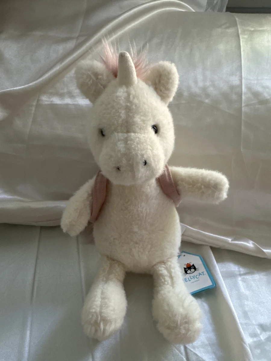 Front - Backpack Unicorn photo by brooklynnmc