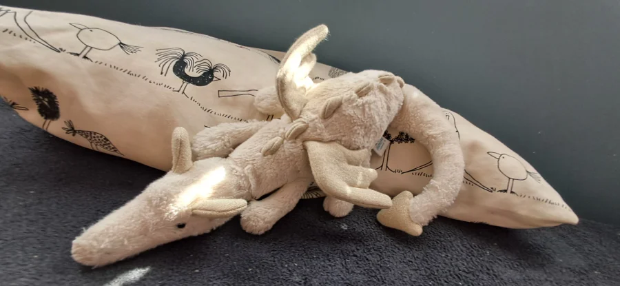 Lifestyle - Snow Dragon - Little photo by Evejellycat