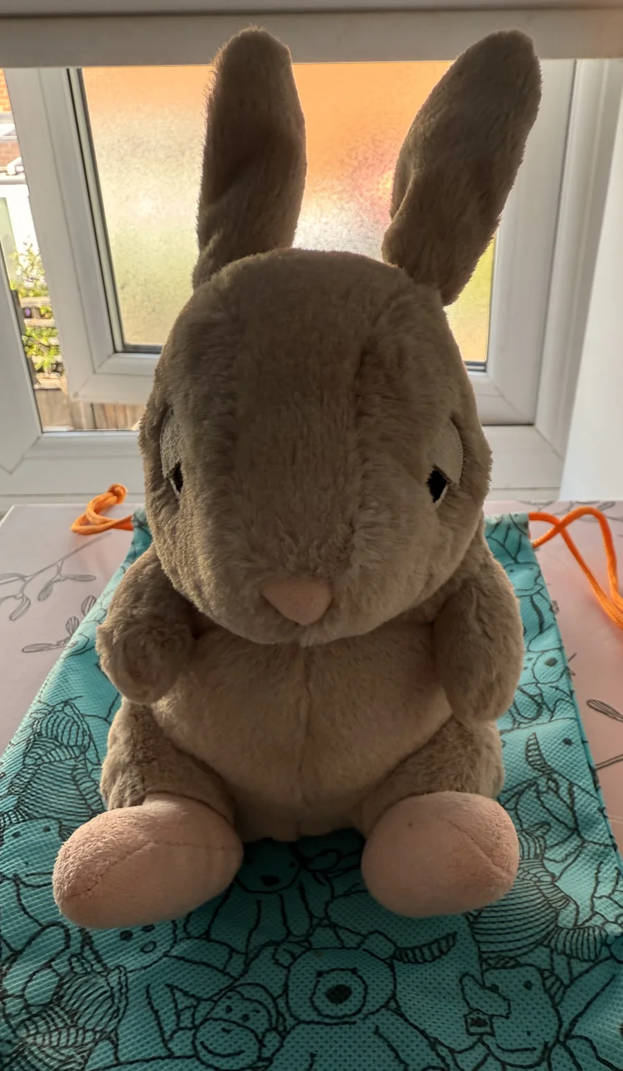 Front - Cuddlebud Bernard Bunny photo by LD51